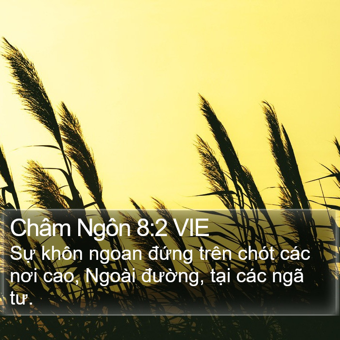 Châm Ngôn 8:2 VIE Bible Study