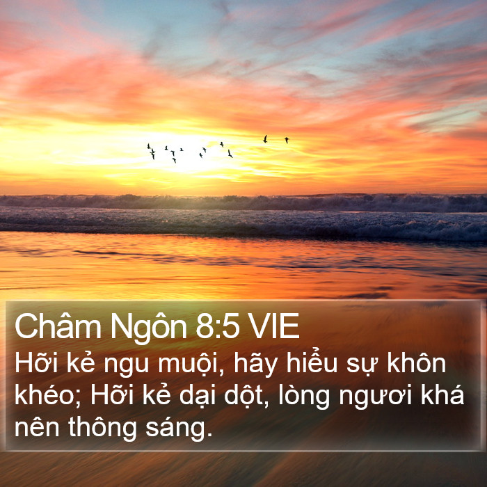 Châm Ngôn 8:5 VIE Bible Study