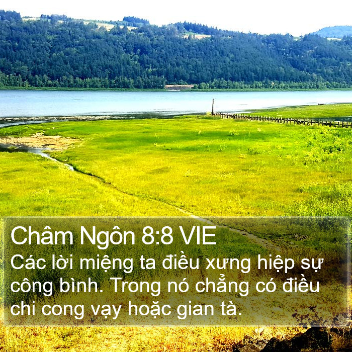 Châm Ngôn 8:8 VIE Bible Study