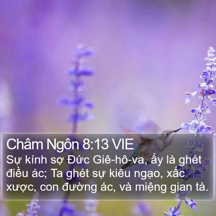 Châm Ngôn 8:13 VIE Bible Study