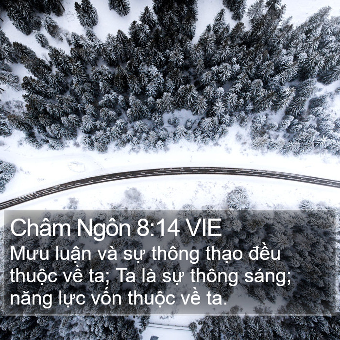 Châm Ngôn 8:14 VIE Bible Study