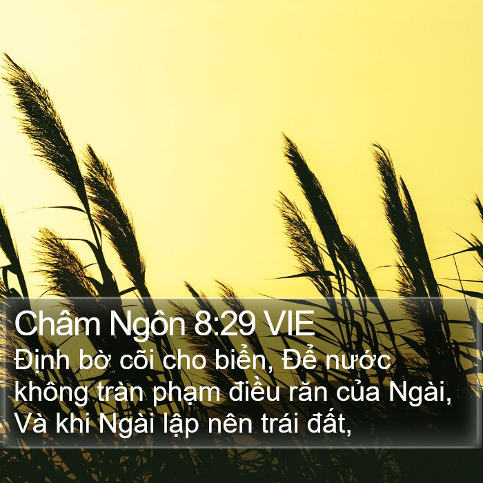 Châm Ngôn 8:29 VIE Bible Study