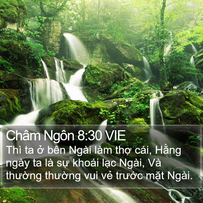 Châm Ngôn 8:30 VIE Bible Study