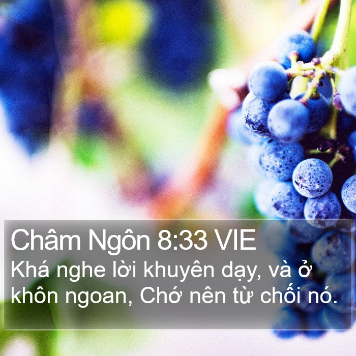 Châm Ngôn 8:33 VIE Bible Study