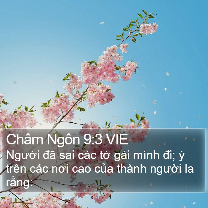 Châm Ngôn 9:3 VIE Bible Study
