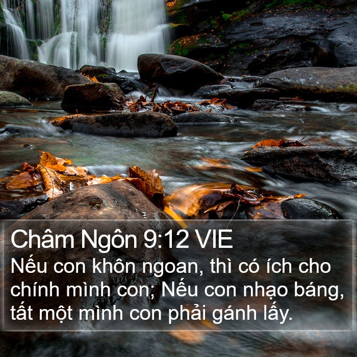 Châm Ngôn 9:12 VIE Bible Study