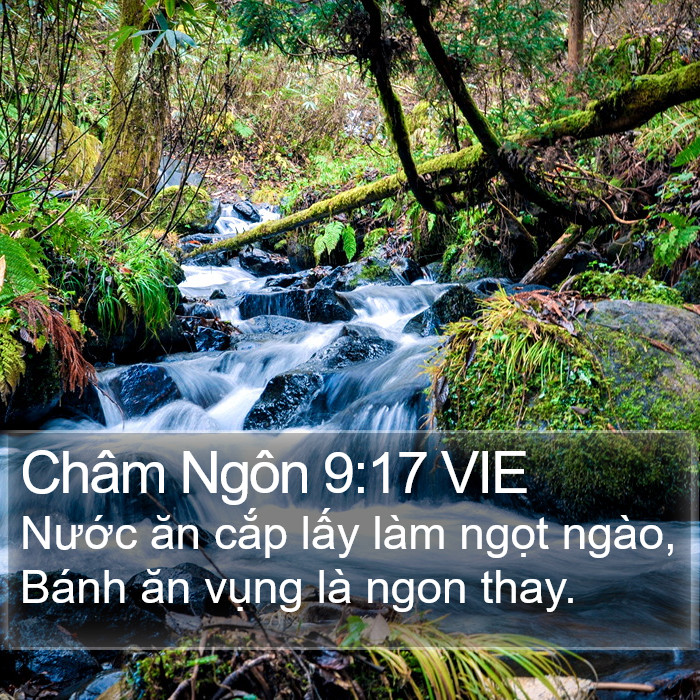 Châm Ngôn 9:17 VIE Bible Study