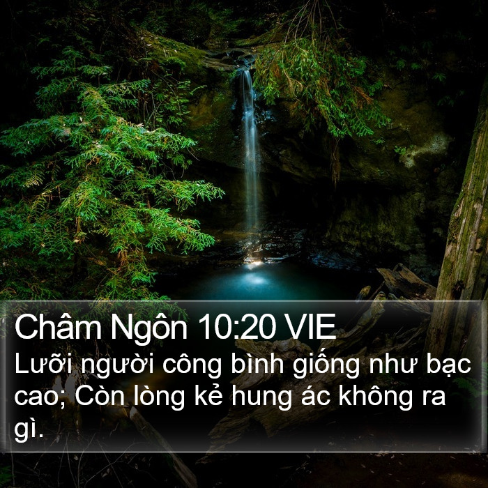 Châm Ngôn 10:20 VIE Bible Study