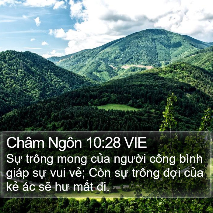 Châm Ngôn 10:28 VIE Bible Study
