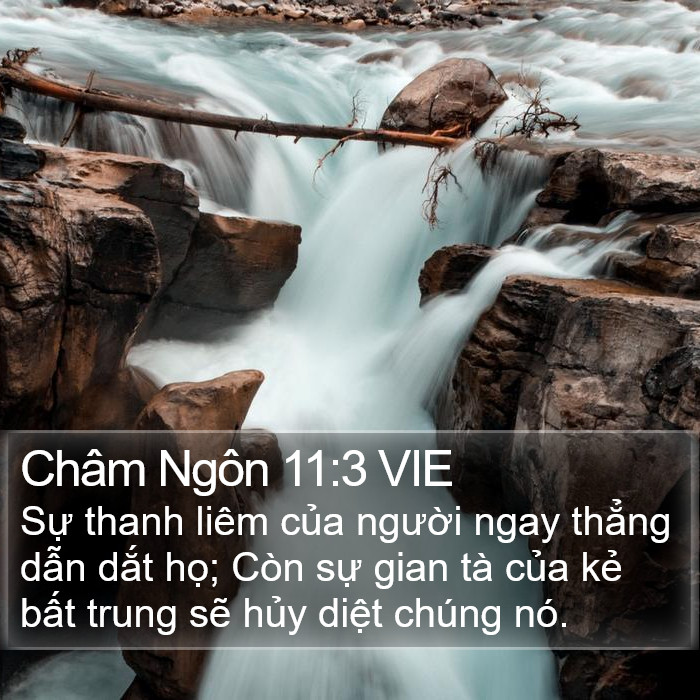 Châm Ngôn 11:3 VIE Bible Study