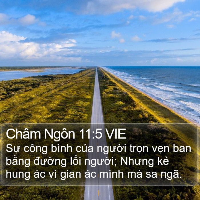 Châm Ngôn 11:5 VIE Bible Study