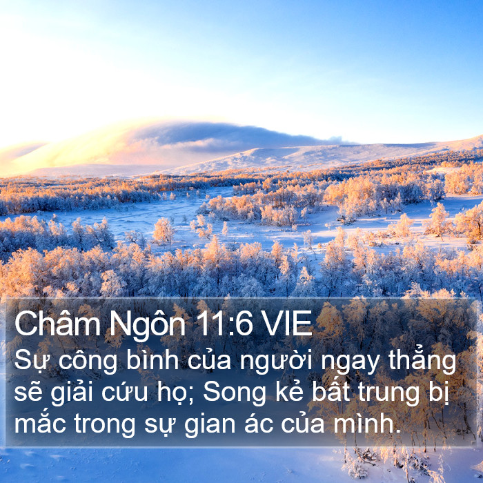 Châm Ngôn 11:6 VIE Bible Study