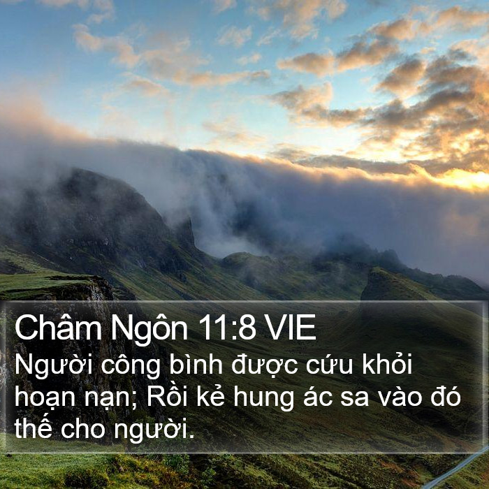 Châm Ngôn 11:8 VIE Bible Study