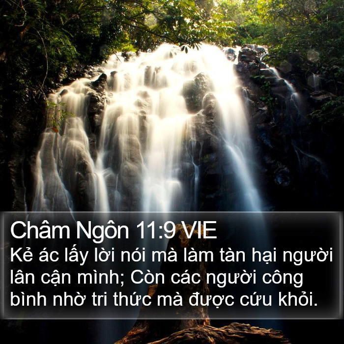 Châm Ngôn 11:9 VIE Bible Study