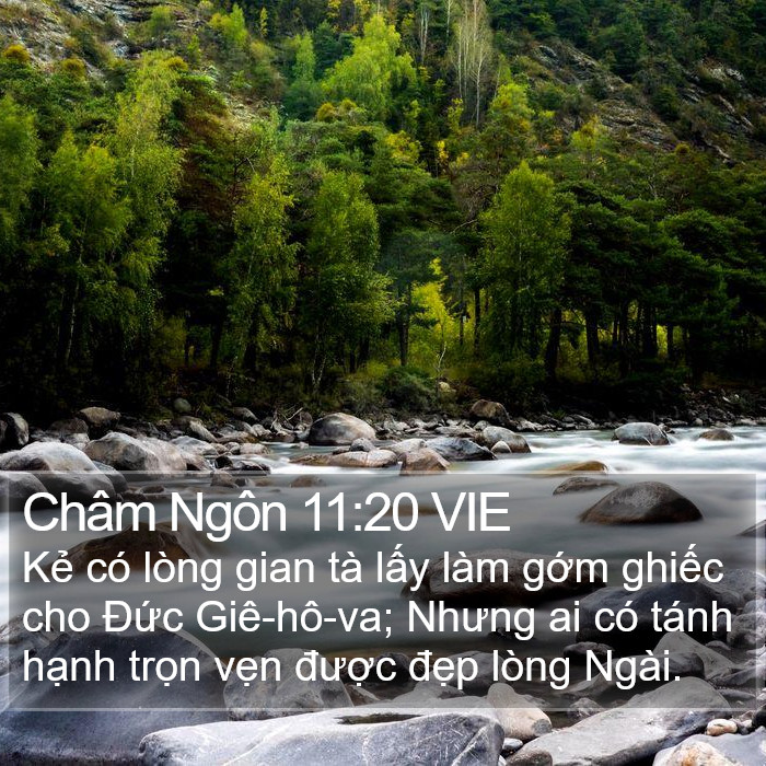 Châm Ngôn 11:20 VIE Bible Study