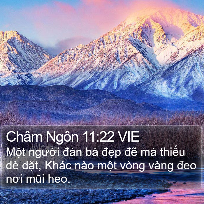 Châm Ngôn 11:22 VIE Bible Study