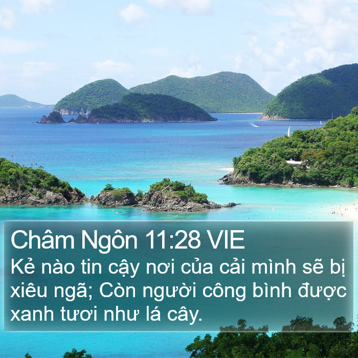 Châm Ngôn 11:28 VIE Bible Study