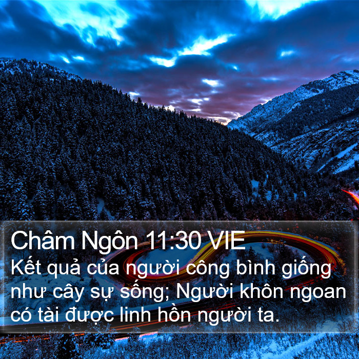 Châm Ngôn 11:30 VIE Bible Study