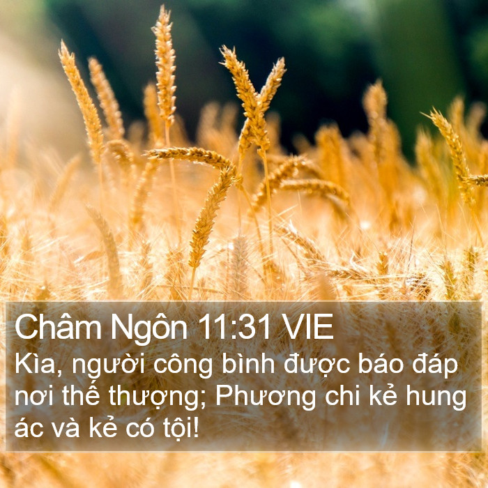 Châm Ngôn 11:31 VIE Bible Study