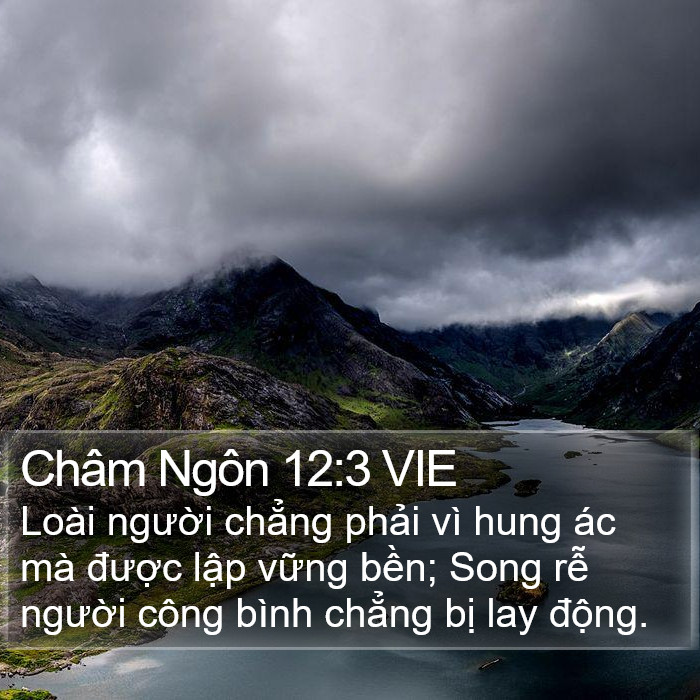 Châm Ngôn 12:3 VIE Bible Study