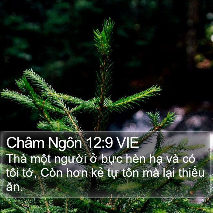 Châm Ngôn 12:9 VIE Bible Study