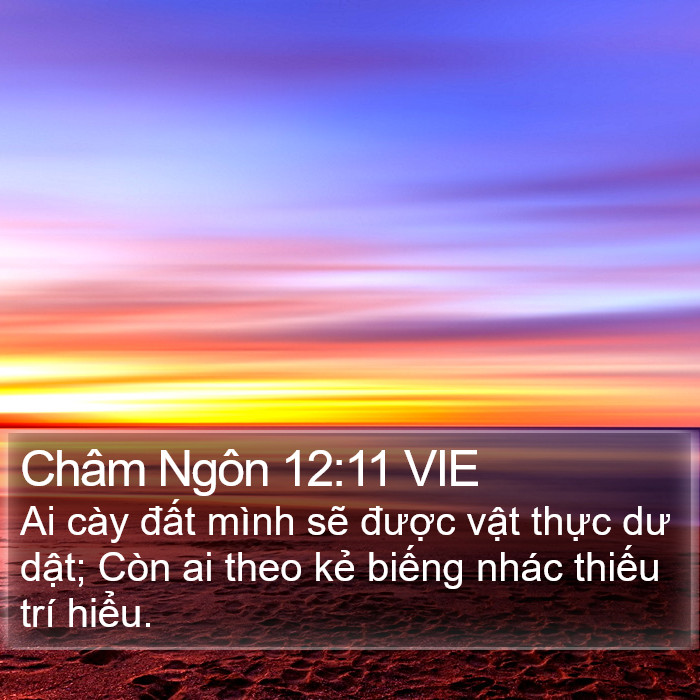 Châm Ngôn 12:11 VIE Bible Study