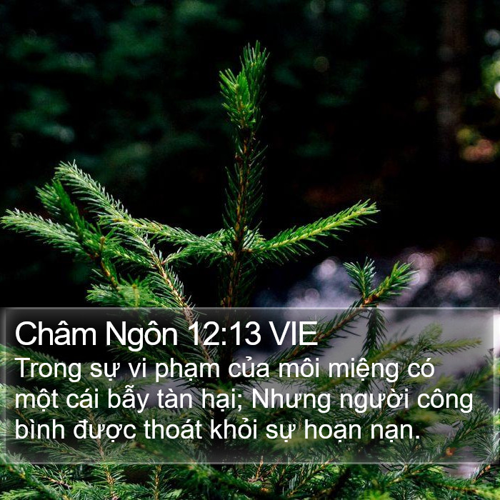 Châm Ngôn 12:13 VIE Bible Study