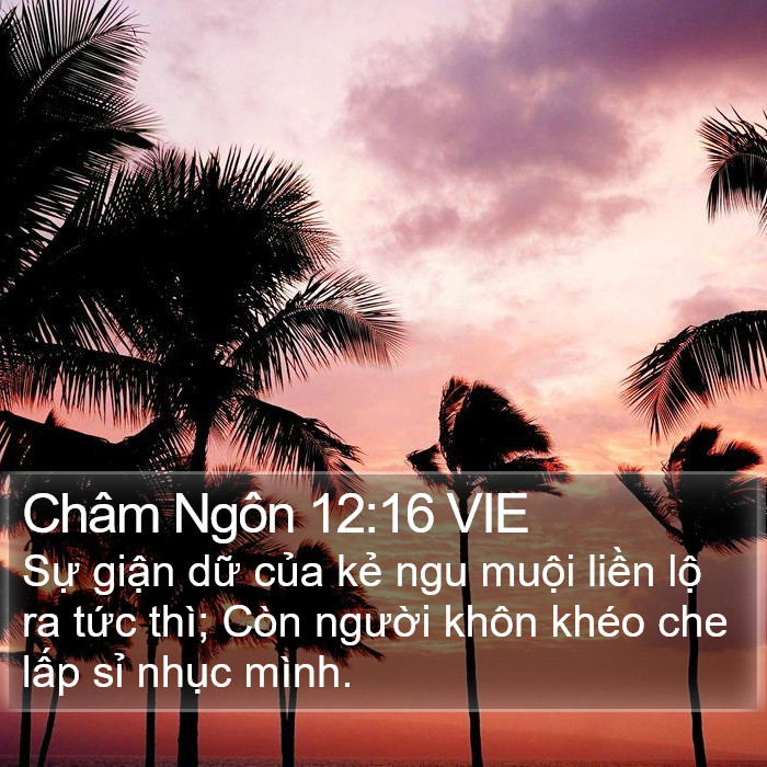 Châm Ngôn 12:16 VIE Bible Study