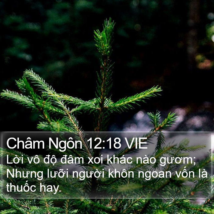 Châm Ngôn 12:18 VIE Bible Study