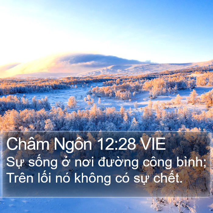 Châm Ngôn 12:28 VIE Bible Study