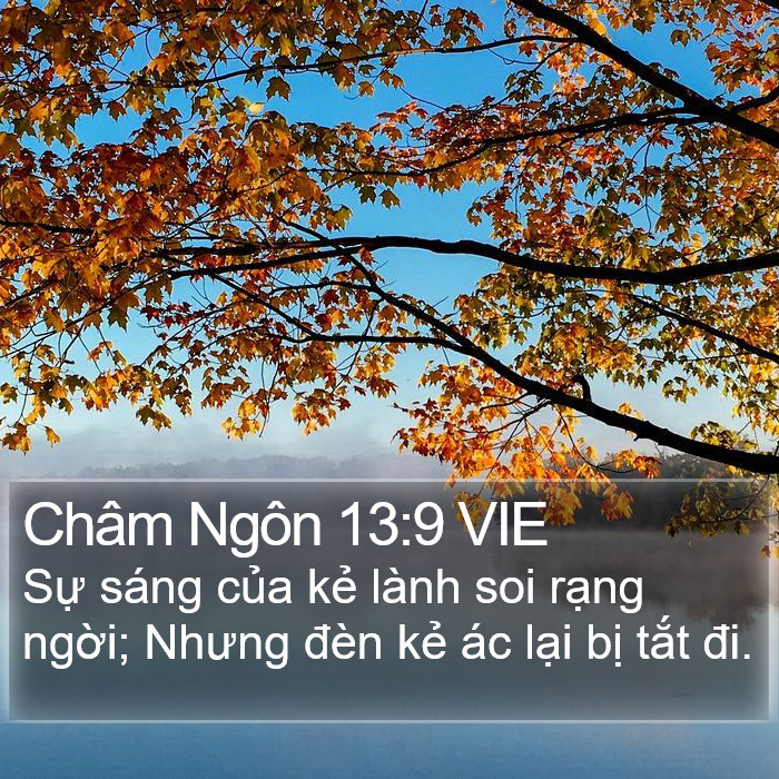Châm Ngôn 13:9 VIE Bible Study