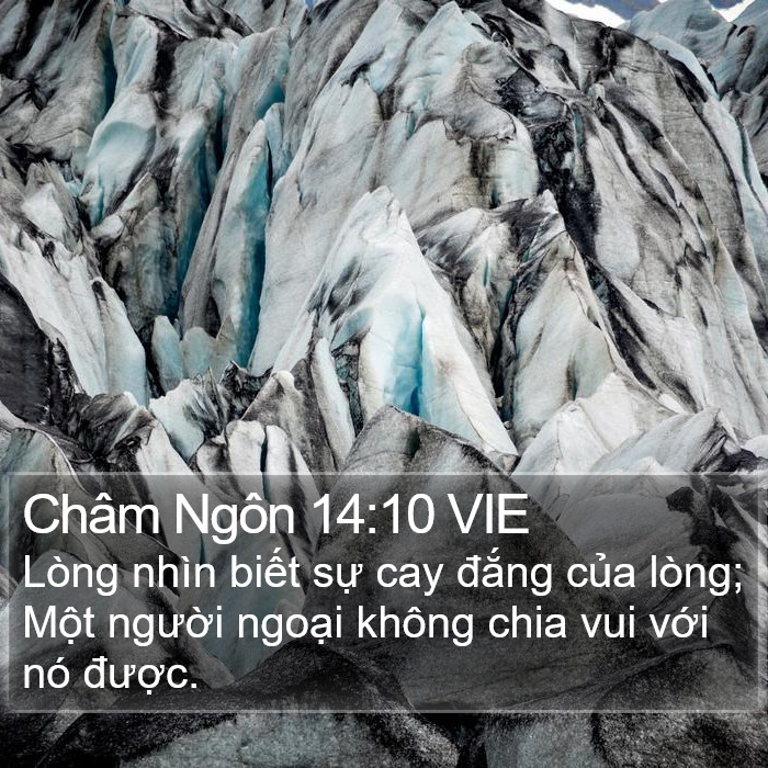 Châm Ngôn 14:10 VIE Bible Study