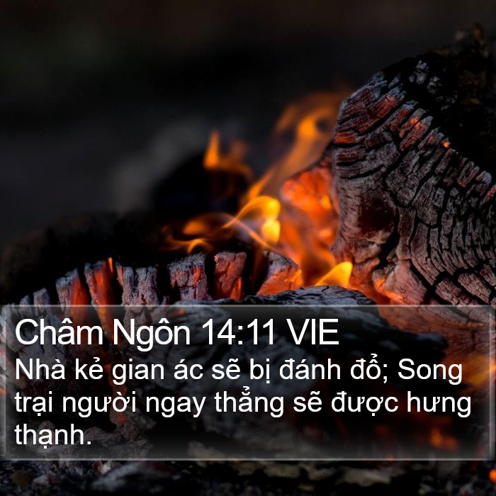 Châm Ngôn 14:11 VIE Bible Study