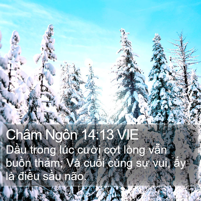 Châm Ngôn 14:13 VIE Bible Study