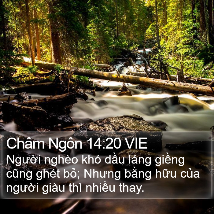 Châm Ngôn 14:20 VIE Bible Study