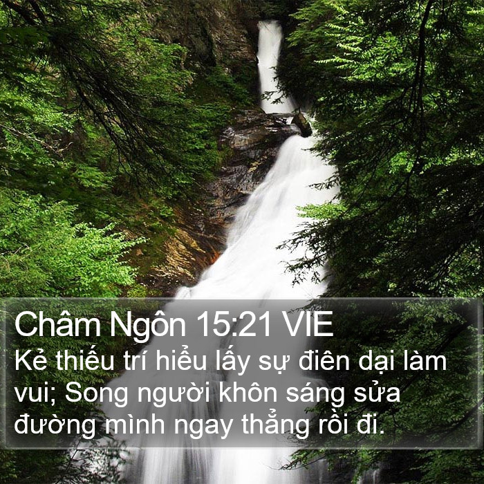 Châm Ngôn 15:21 VIE Bible Study