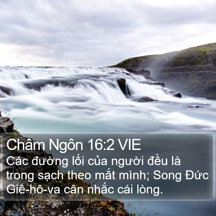 Châm Ngôn 16:2 VIE Bible Study