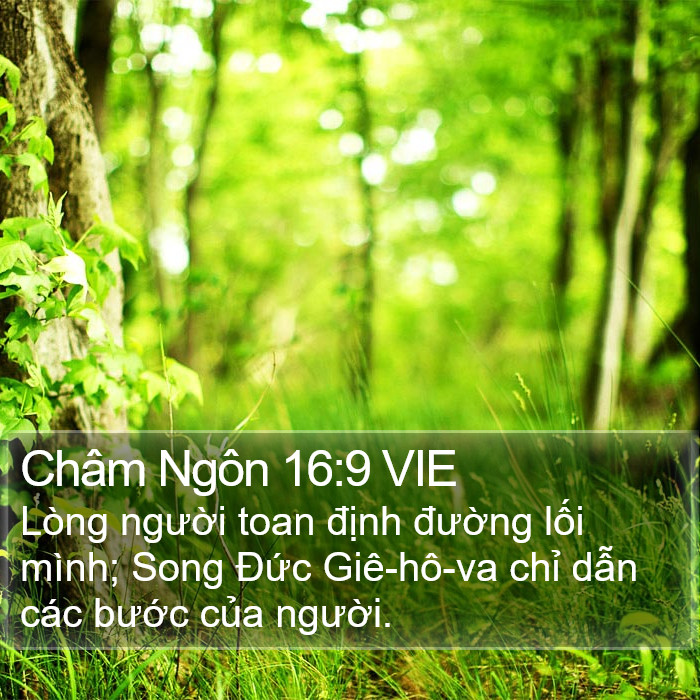 Châm Ngôn 16:9 VIE Bible Study