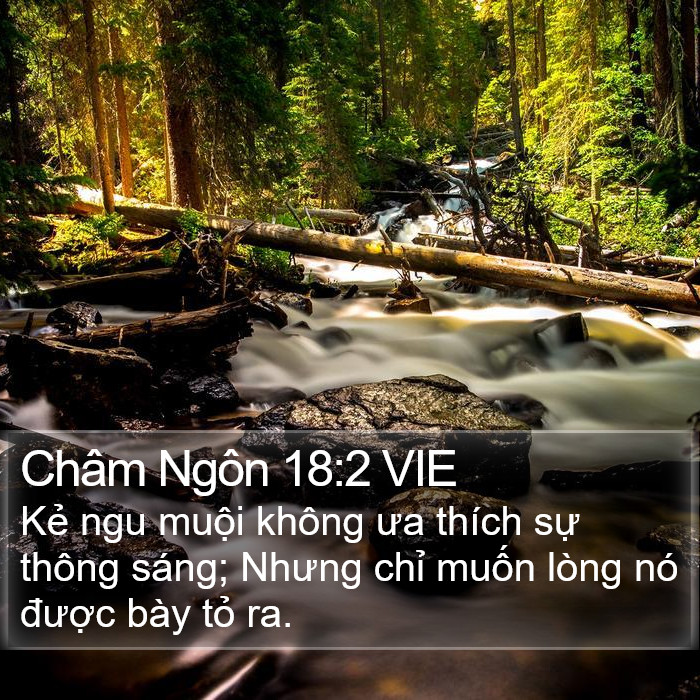 Châm Ngôn 18:2 VIE Bible Study