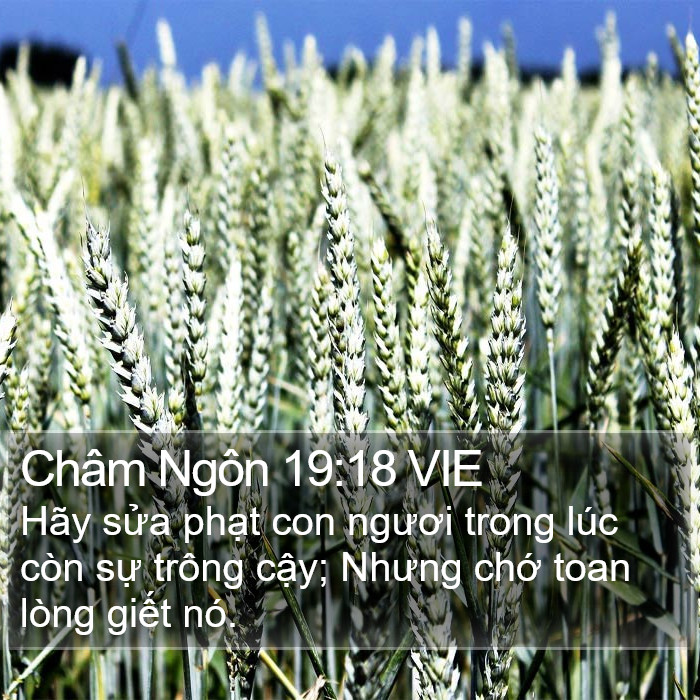 Châm Ngôn 19:18 VIE Bible Study