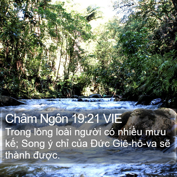 Châm Ngôn 19:21 VIE Bible Study