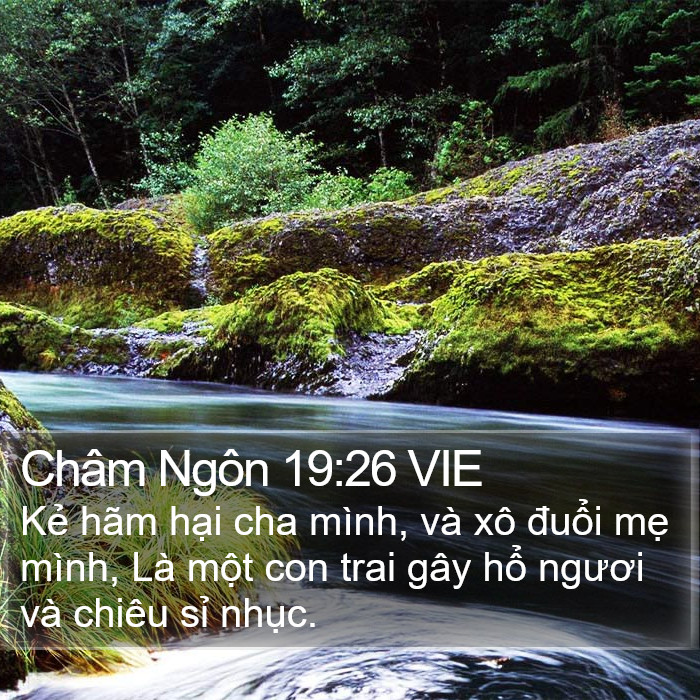 Châm Ngôn 19:26 VIE Bible Study