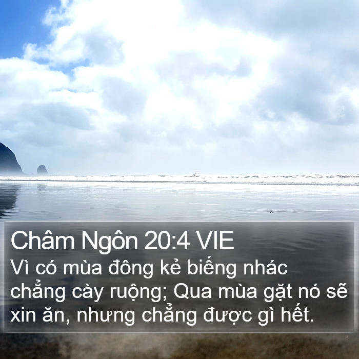 Châm Ngôn 20:4 VIE Bible Study