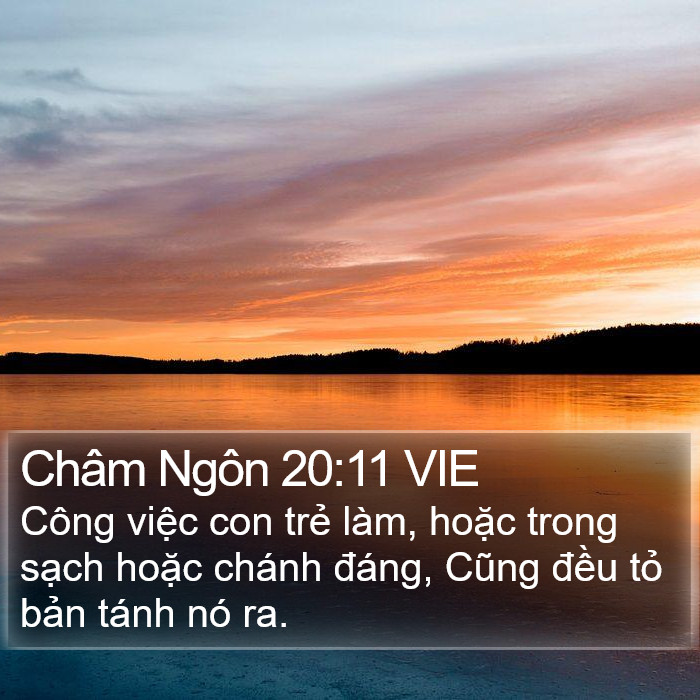 Châm Ngôn 20:11 VIE Bible Study