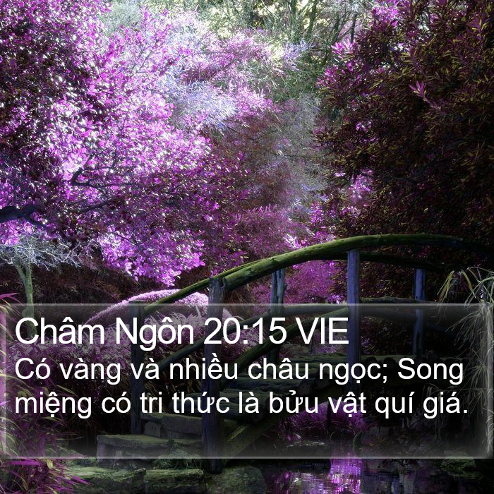 Châm Ngôn 20:15 VIE Bible Study