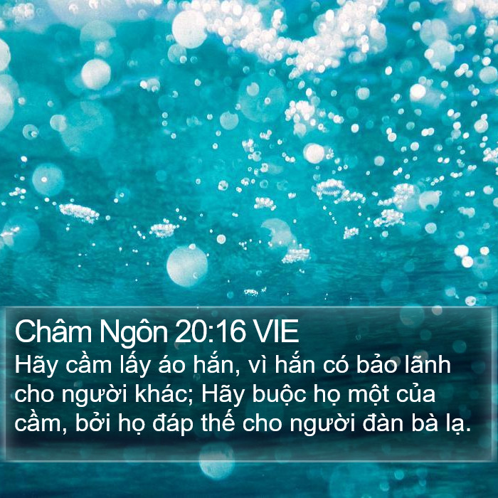 Châm Ngôn 20:16 VIE Bible Study