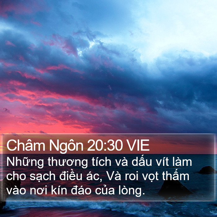 Châm Ngôn 20:30 VIE Bible Study