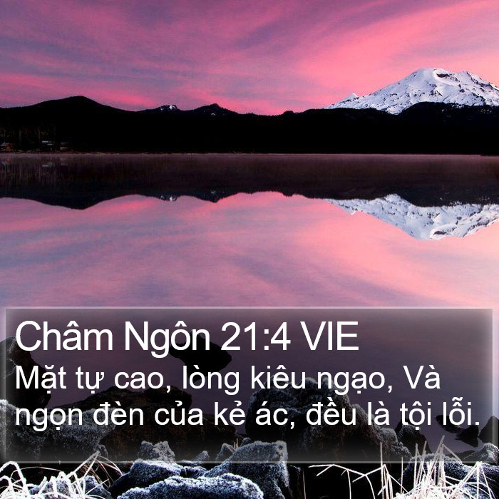 Châm Ngôn 21:4 VIE Bible Study