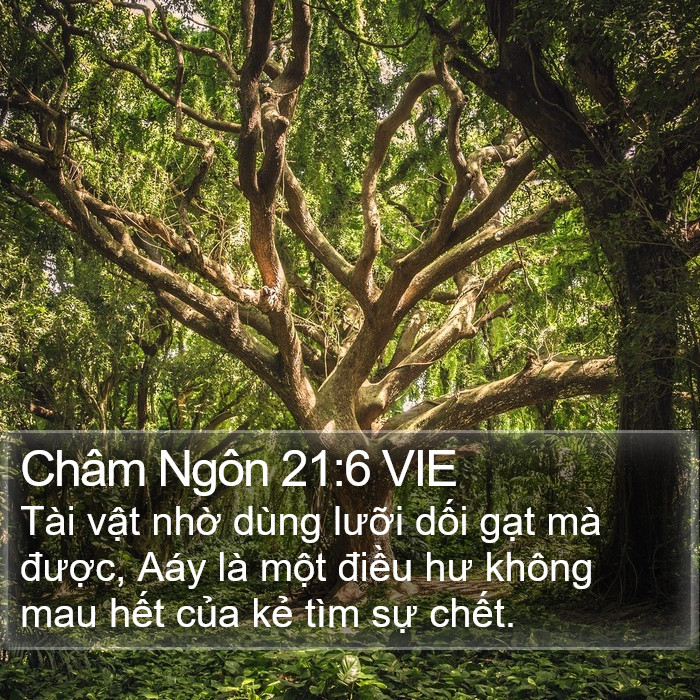 Châm Ngôn 21:6 VIE Bible Study