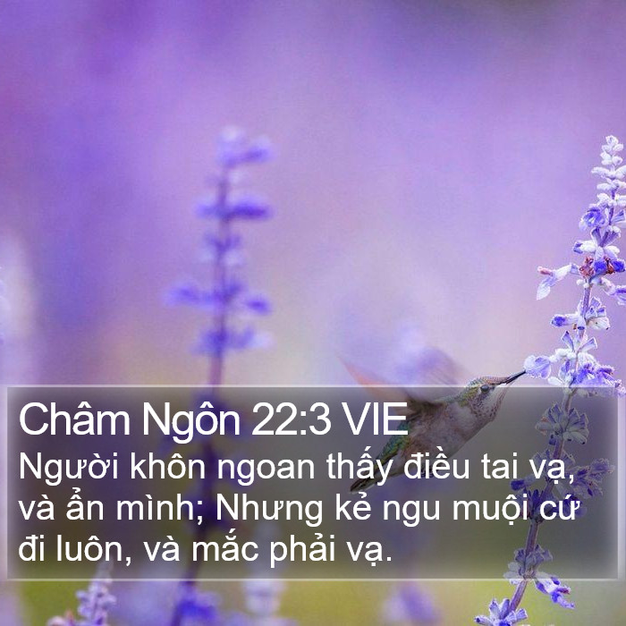 Châm Ngôn 22:3 VIE Bible Study